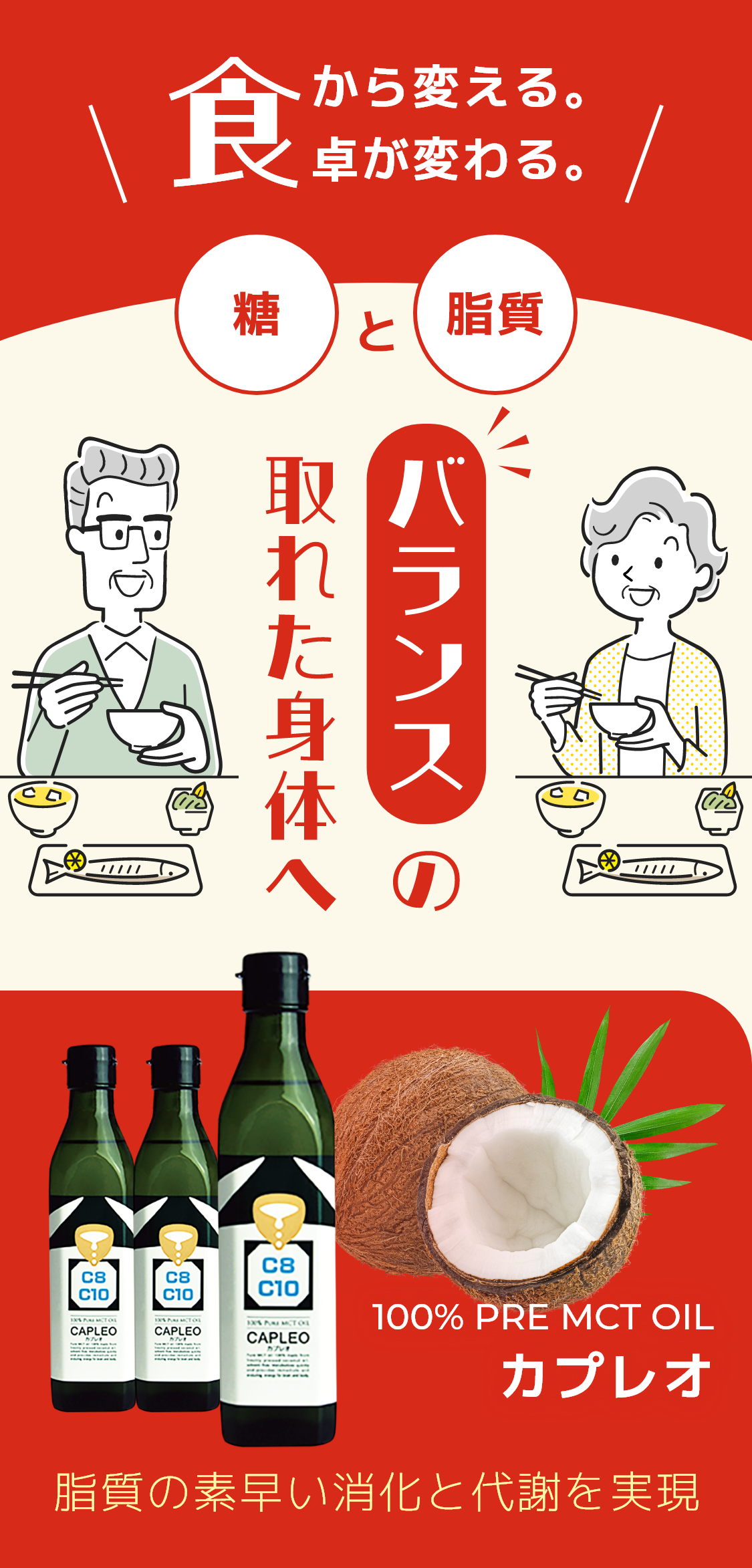 バランスの取れた身体へ